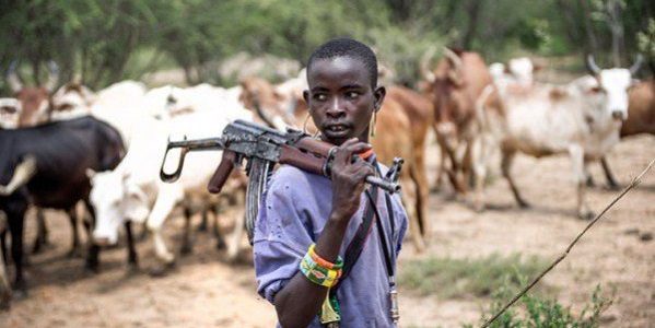 BENUE:Herdsmen hack final year student to death