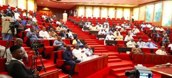 Senate gives Nigerian govt, NNPC one-week to end fuel queues