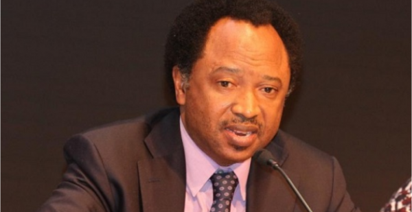 Senator Sani disagrees that Nigerians are impatient, says Buhari no longer as popular