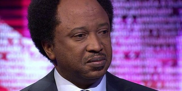 Ben Bruce woes Shehu Sani, to leave APC for PDP