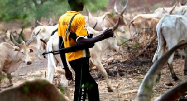 PLATEAU: 3 feared dead, 12 houses burnt after herdsmen attack on village