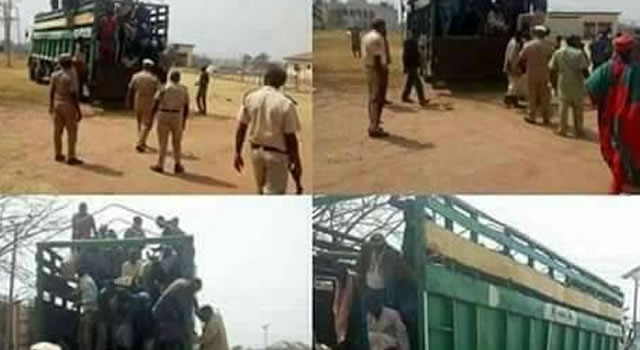 Soldiers arrest 84 Nigeriens smuggled in lorry under goats, rams into Abuja