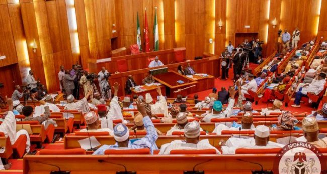 Fireworks as Senators give IGP 2-week ultimatum over Benue massacre