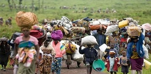 15,000 Nigerians from Sokoto, Zamfara taking refuge in Niger