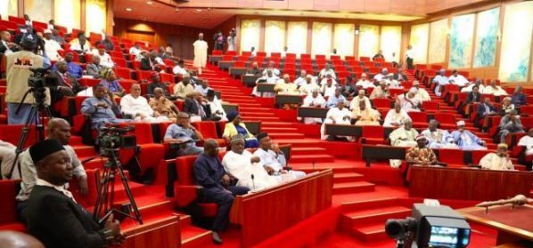 Senate approves higher institutions for Buhari’s hometown, nine others