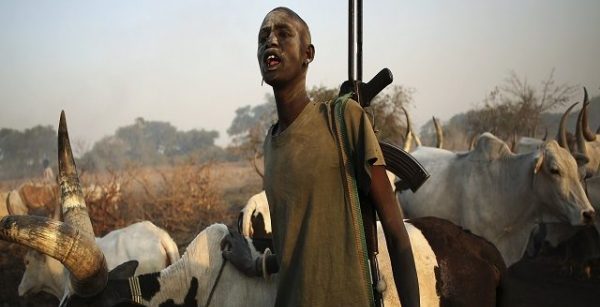 Herdsmen sack 25 communities in Nasarawa, kill twelve