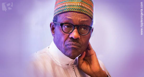 Leaders of regional groups worried over Buhari’s rule of law comment