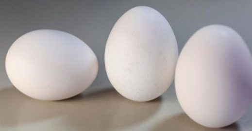 Japanese scientist uses protein from egg white to produce carbon-free energy