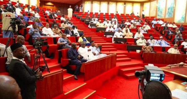 War in Senate over new electoral law