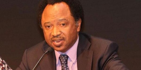 SEN SANI TO NIGERIANS: Ask Buhari, govs, others to reveal their monthly take home