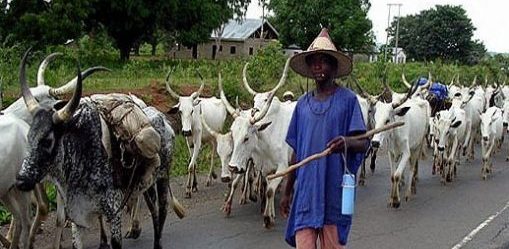 Presidency confirms lands gazetted for Ruga Settlement s in 36 states
