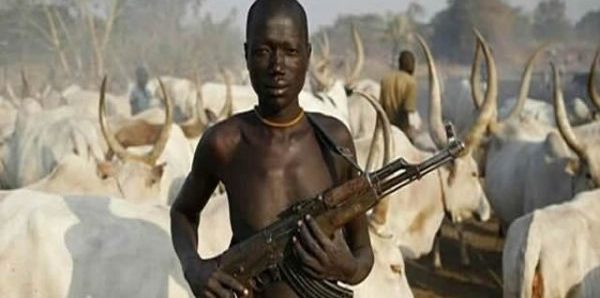 BENUE: 5 feared dead in fresh attack by suspected herdsmen