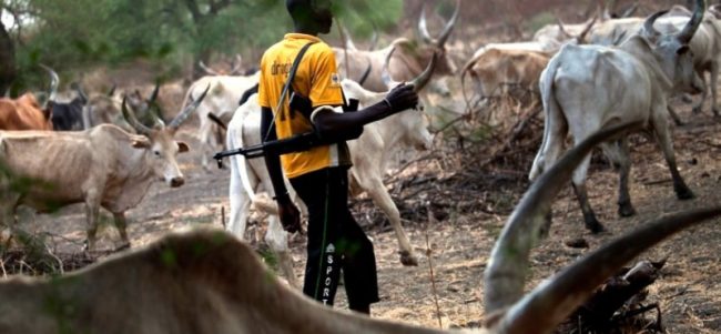 BENUE: Fresh attack by camouflage-wearing herdsmen leaves 10 dead