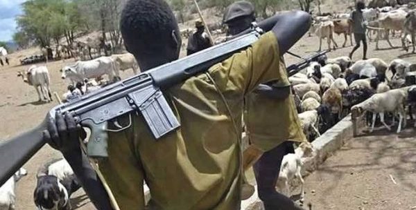 TARABA: Family of 4 killed in fresh attacks by herdsmen