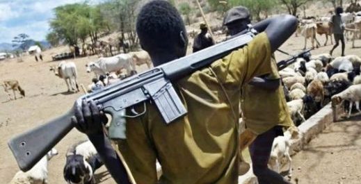 Scores killed as herdsmen attack villagers in Benue again