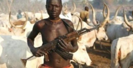 ONDO: After releasing kidnapped woman, stepson, Fulani herdsmen failed in bid to abduct monarch