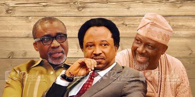 Speak the truth and die! How Buhari’s men are dealing with critics in the Nat’l Assembly