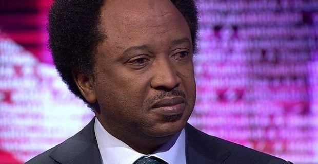 Unlike Melaye, Shehu Sani honours police invitation, gets bail