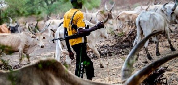 PLATEAU: 8 people killed by unknown gunmen at local pub