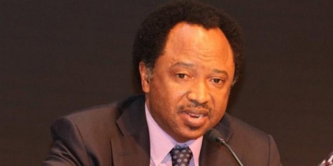 Buhari’s integrity not enough —Sen. Sani