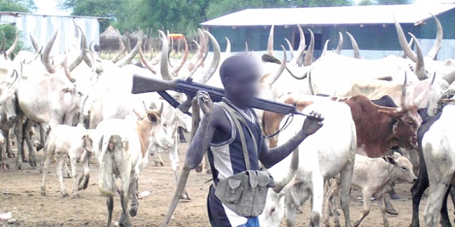 Miyetti Allah blames governors for herdsmen-related killings