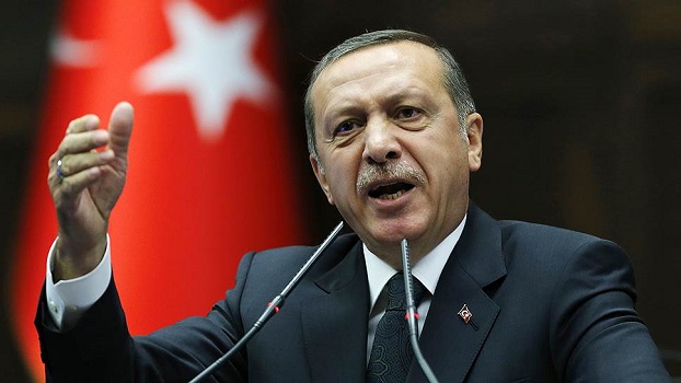 Unite and confront Israel, Erdogan tells OIC leaders