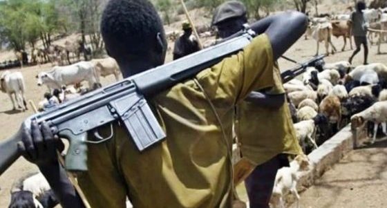 Herdsmen attack Plateau again, kill pastor, others