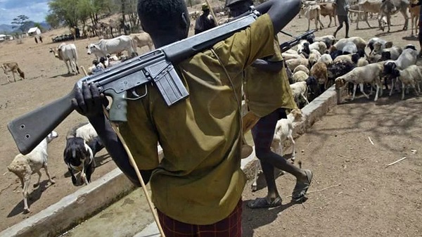 Suspected Fulani herdsmen kill 6 in Adamawa villages