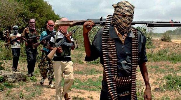 Suspected militia kill 10 in Adamawa