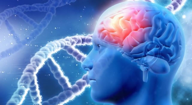 Scientists discover 1000 new genes associated with intelligence