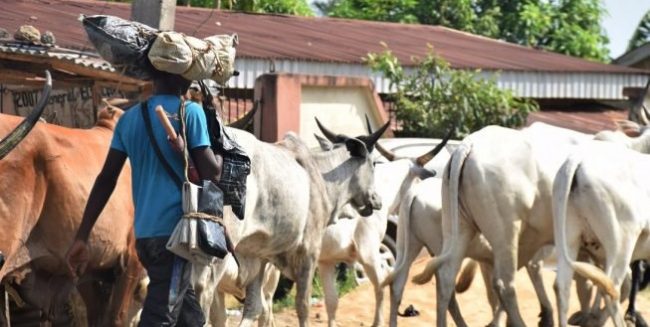 PLATEAU: Curfew imposed as scores killed by gunmen