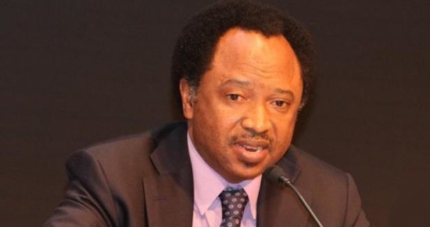 Calls for INEC chairman’s removal baseless— Shehu Sani