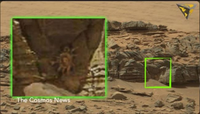 NASA spots more alien spiders on Mars