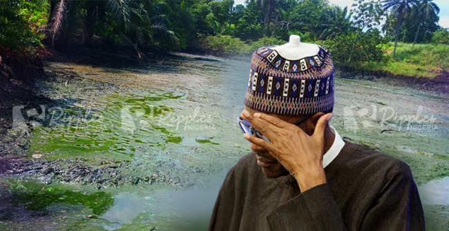 INVESTIGATION.... Inside Ogoniland: How a promised clean-up is turning into a people's rage