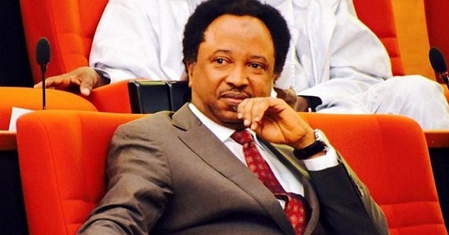 End ‘political trials’ to fix strained relations with NASS, Sani tells Buhari