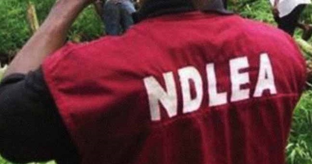 NDLEA operative’s gun down 22-yr-old woman during raid