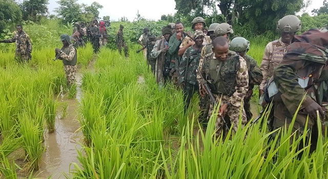 BORNO: Army rescues kidnapped passengers, kill 14 insurgents