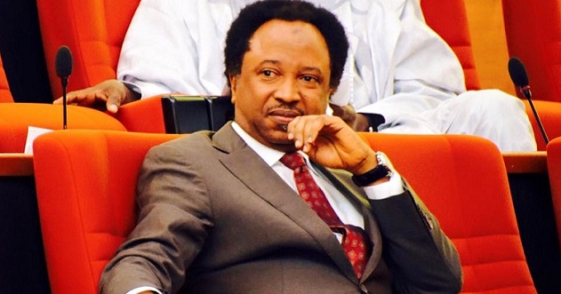 El-Rufai fulfills vow to kick Shehu Sani out of Senate as aide clitches APC ticket