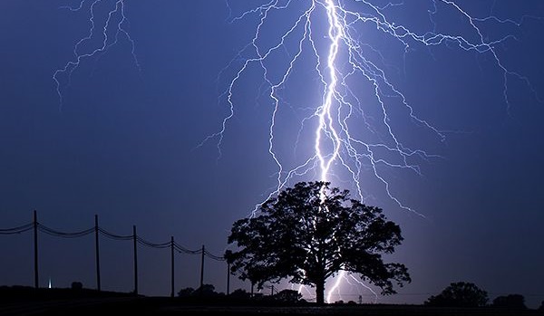 Pandemonium in Ondo community as timber contractor is struck dead by thunder