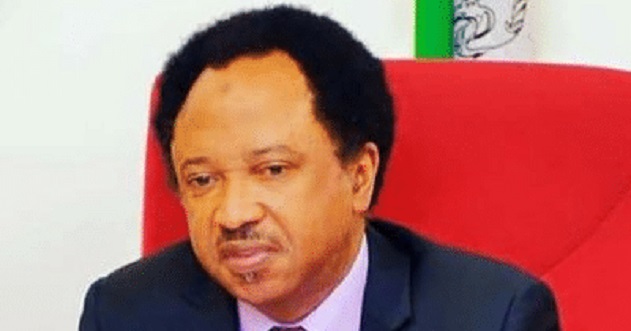 Sen Shehu Sani refuses to participate in APC senatorial primaries