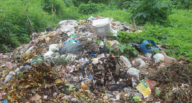 INVESTIGATION... Enugu public libraries in ruins despite huge budgetary allocations –Part 2