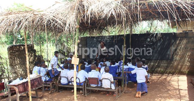 INVESTIGATION... Despite billions budgeted, Ebonyi students sit on stones under thatched roofs to learn