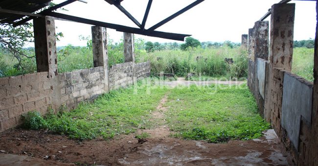 INVESTIGATION... Despite billions budgeted, Ebonyi students sit on stones under thatched roofs to learn