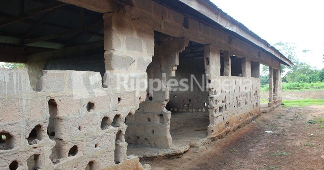 INVESTIGATION... Despite billions budgeted, Ebonyi students sit on stones under thatched roofs to learn