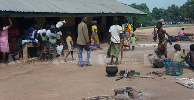 6 months after Ripples story, records of child marriages drop in Benue IDP camps