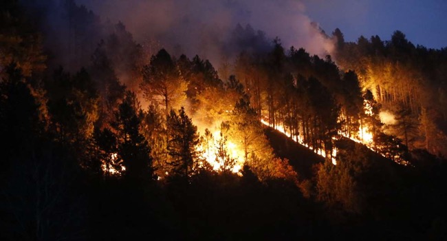 China reveals 30 killed fighting forest fire in Sichuan province