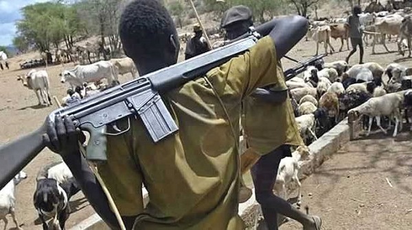 Anger in Enugu communy as suspected herdsmen kill pregnant woman