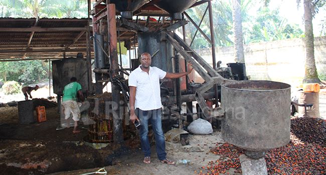 SPECIAL REPORT: How tech is increasing palm oil production in Nigeria