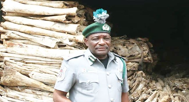 Customs seize N15bn donkey hides, N16bn drugs in Lagos, Ogun