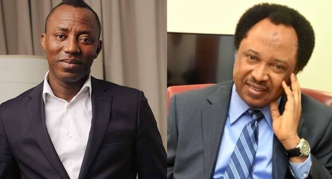 Sowore mocks Shehu Sani for “downplaying” call for marijuana market in Nigeria